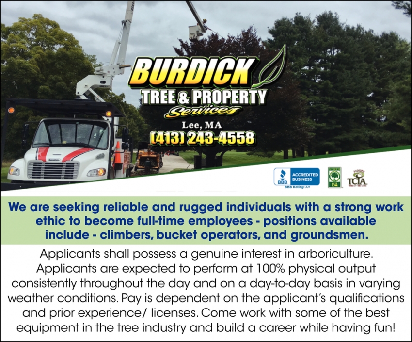 Climbers, Bucket Operators, and Groundsmen, Burdick Tree & Property Services